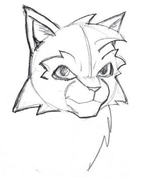 320x350 How To Draw Warrior Cats, Step By Step, Cartoon Animals, Animals