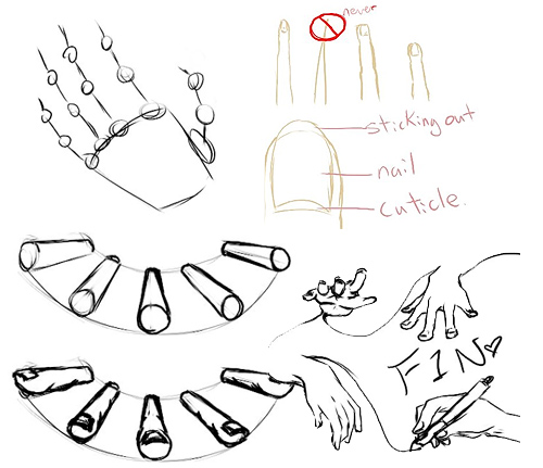 500x431 Cartoon Character Illustration Tutorials And Tips