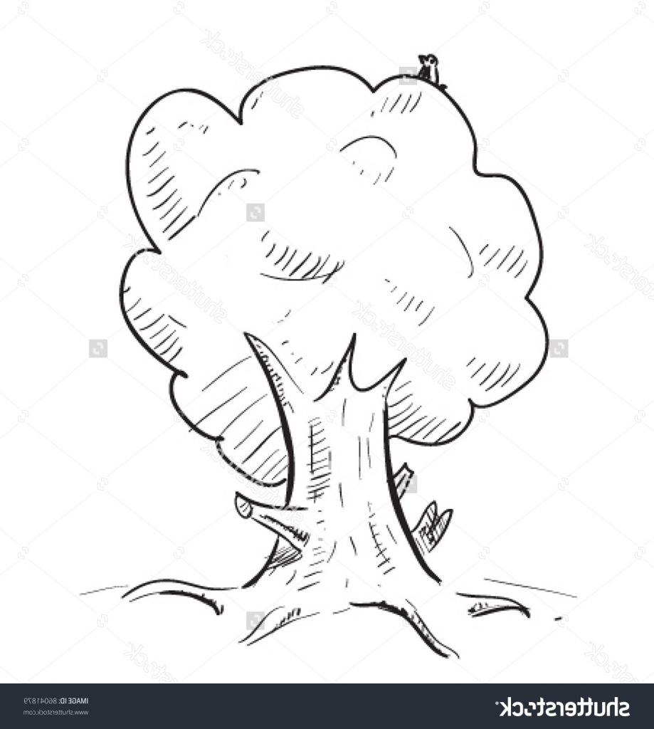 919x1024 Funny Cartoon Pencil Sketches