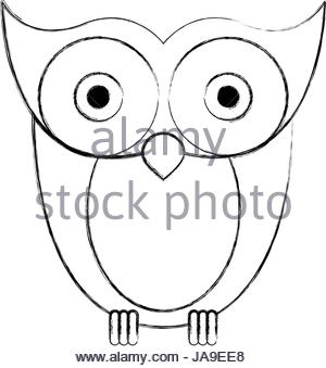 300x339 Drawing Face Owl Bird Character Stock Vector Art Amp Illustration