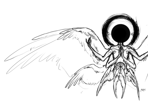 500x367 Trueform!cas.