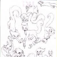 200x200 Cat Anatomy Drawing