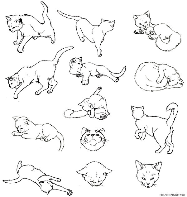 600x632 Cat Study By Frankizinke