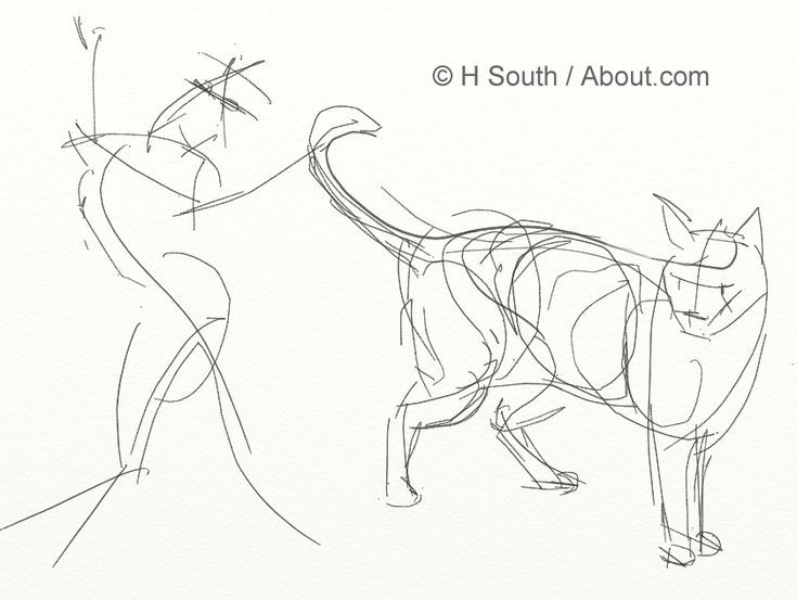 735x553 Your Guide To Drawing Sketching Cats Contours, Draw Lips