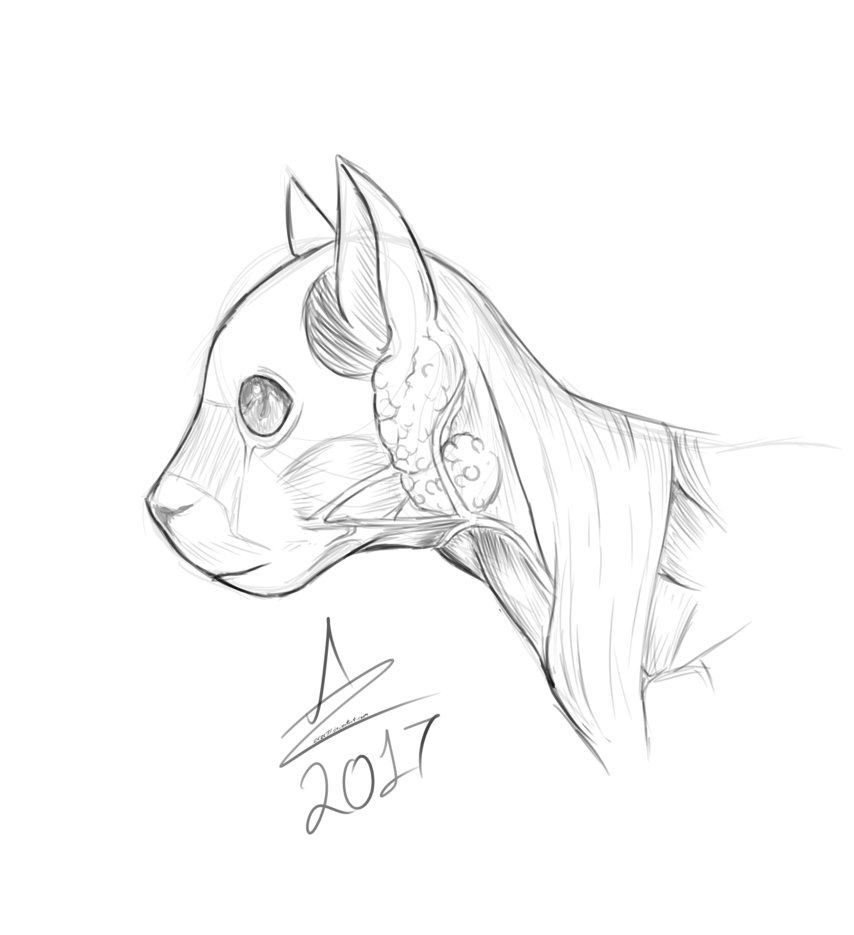 854x935 Zxzc77 (Sparky)