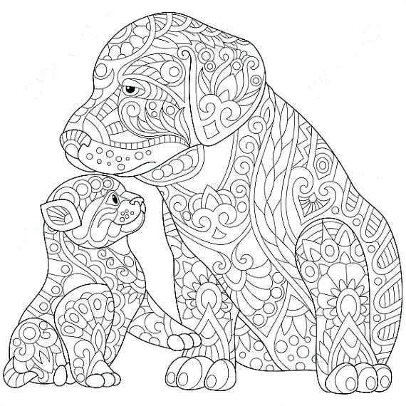 570x570 Simple Cat And Dog Coloring Pages Print Also Drawing F