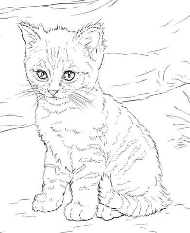 391x480 Cute Kitten Coloring Page Free Printable Coloring Pages