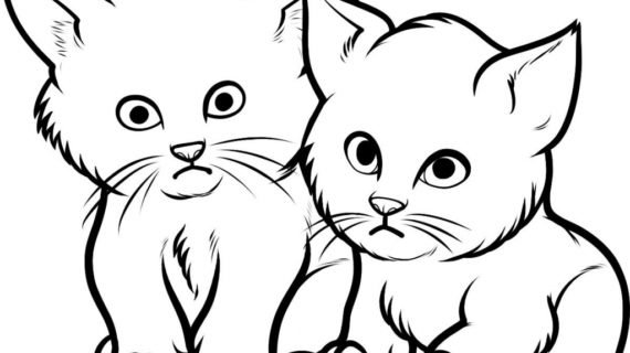 570x320 Drawings Of Cats And Kittens Kitten Printable Coloring Pages Color