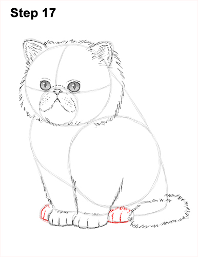 386x500 How To Draw A Kitten (Persian)