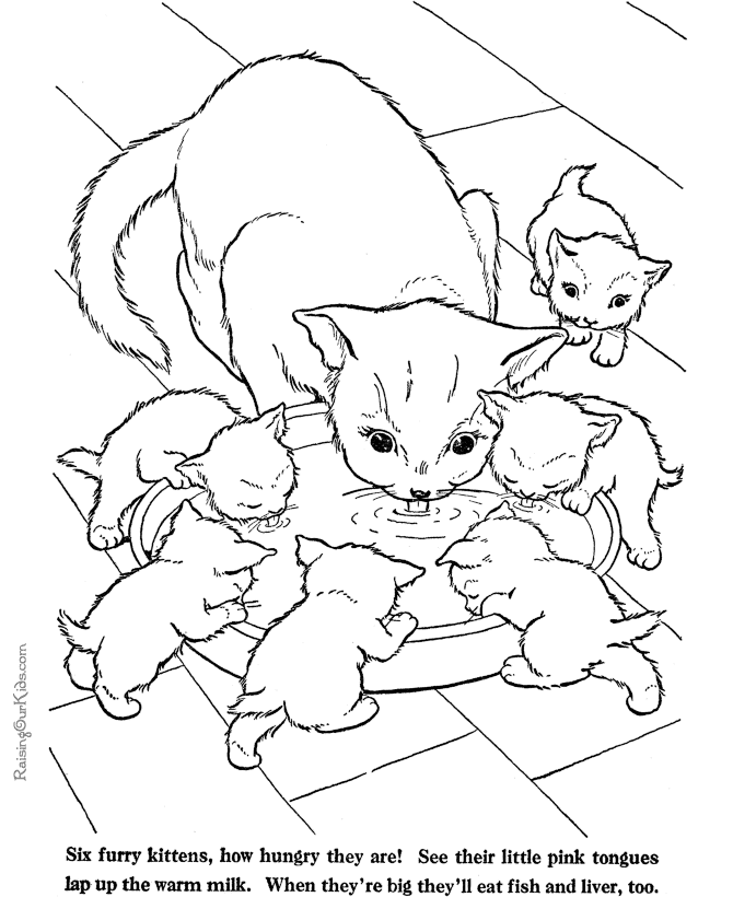 670x820 Kitten Coloring Pages