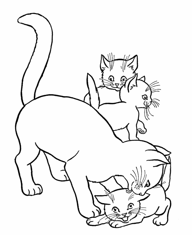 670x820 Cat Coloring Pages Printable Mother Cat And Kittens Coloring