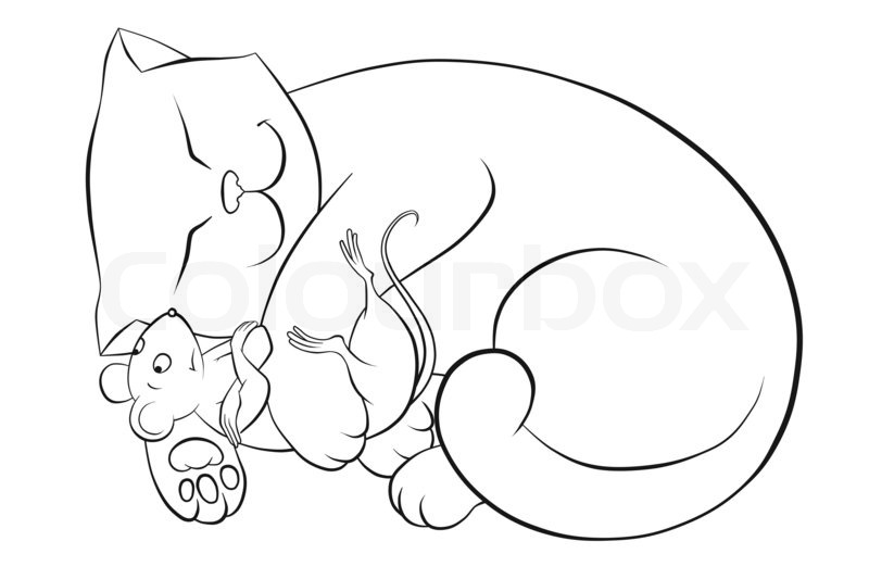 800x533 Red Cat Is Sleeping And Hugging Mouse Stock Photo Colourbox