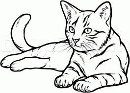 265x190 The Best Cat Face Drawing Ideas On How To Draw