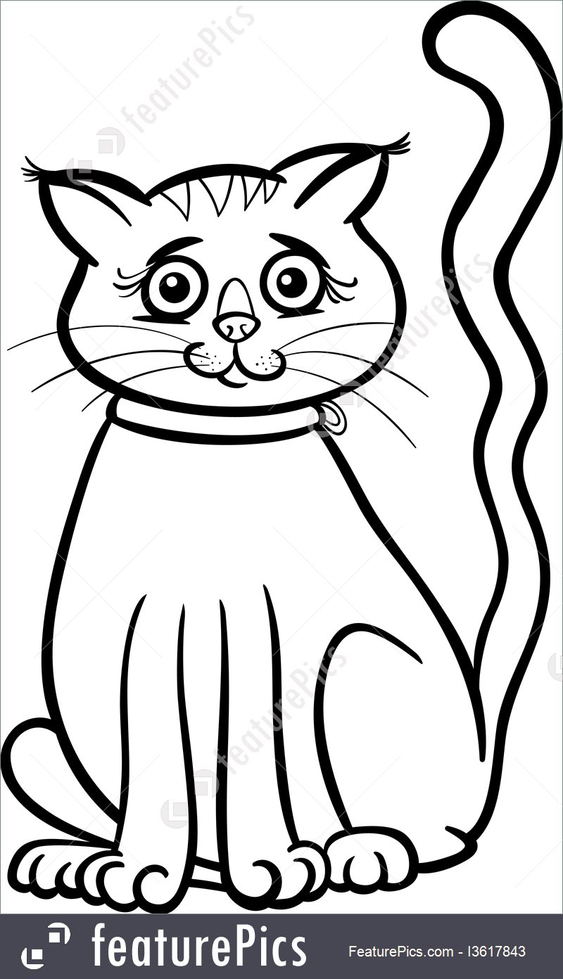 800x1392 Illustration Of Female Cat Cartoon For Coloring Book