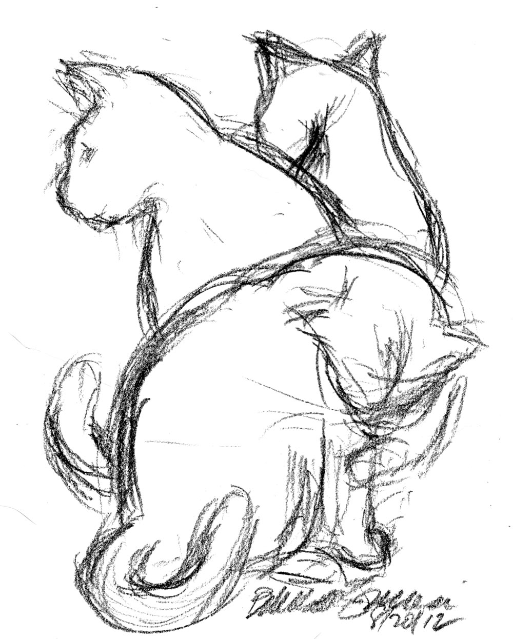 1000x1246 Daily Sketch After Dinner Baths ~ The Creative Cat