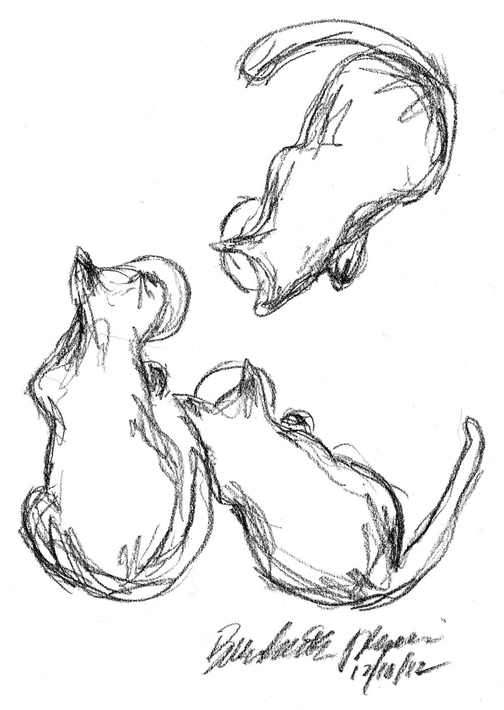 1000x1408 Daily Sketch Dinner For Three Art And Nature Journals Also