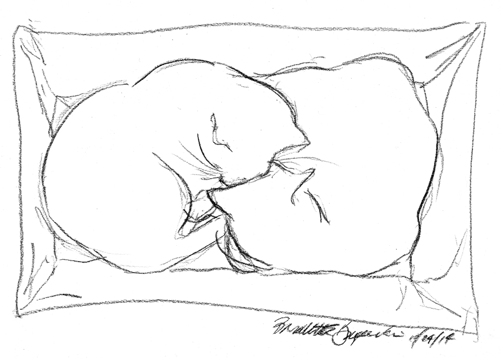 1000x714 Daily Sketch The Zen Of Basket ~ The Creative Cat