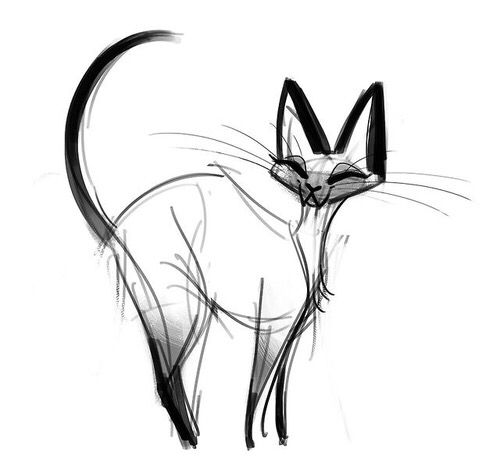500x463 Posts Sketches, Drawings And Draw Animals