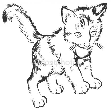 450x448 Contour Cat Portrait Stock Vector Agrino