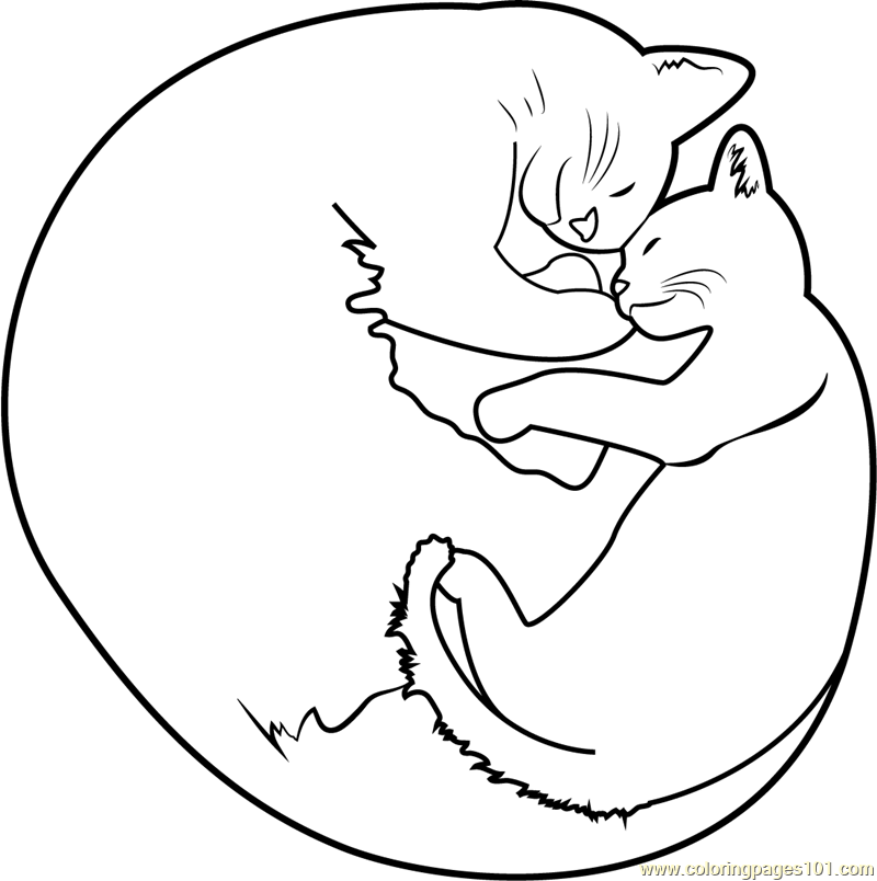 800x804 Cute Kitten Sleeping With Mom Cat Coloring Page