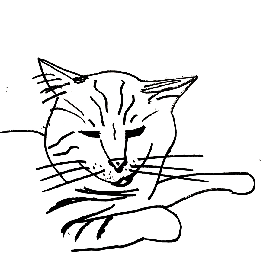 871x871 30 Day Minimalist Cat Drawing Challenge