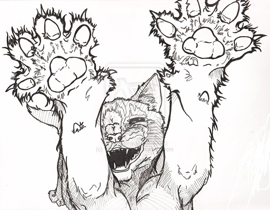 900x702 Cat Drawings