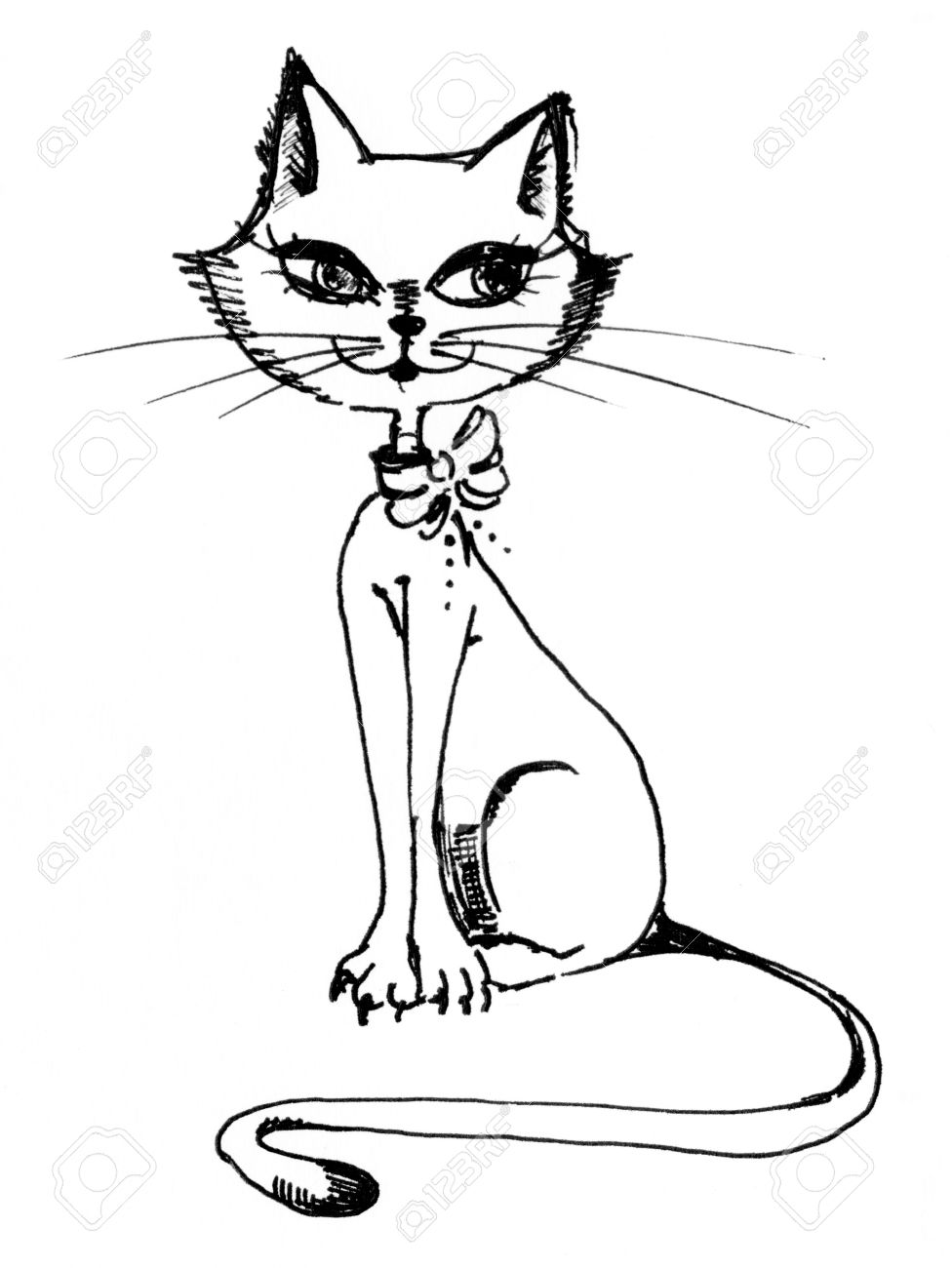 976x1300 Sitting Beautiful Cat Drawing Made By Hand Stock Photo, Picture