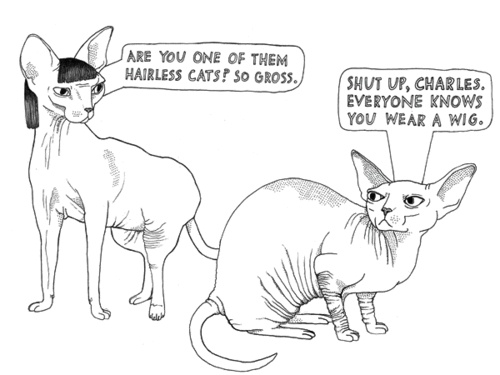 500x375 Lol Drawing Black And White Cats Grunge Gross Pale Sphinx Cat