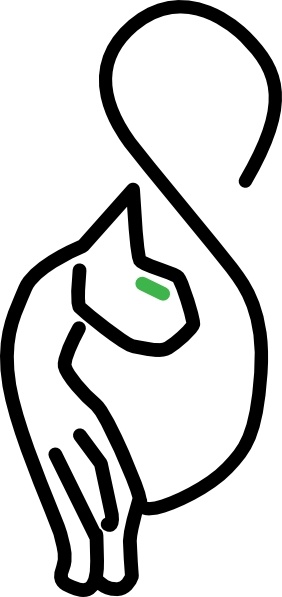 282x597 Kitty Cat Symbol Clip Art Free Vector In Open Office Drawing Svg