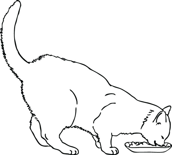 600x539 Cat Eating Clipart