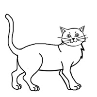 200x200 How To Draw A Cat