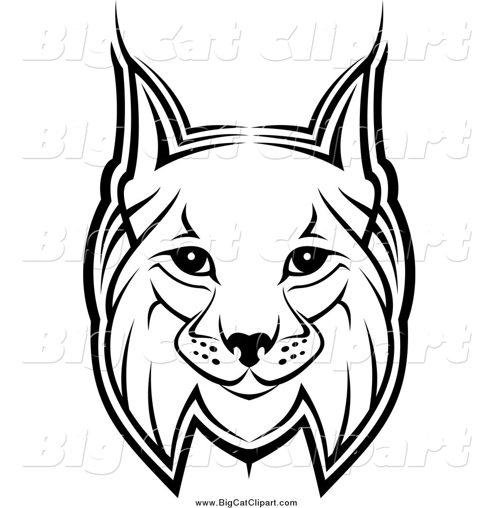 1024x1044 Big Cat Vector Clipart Of A Bobcat Face By Vector Tradition Sm
