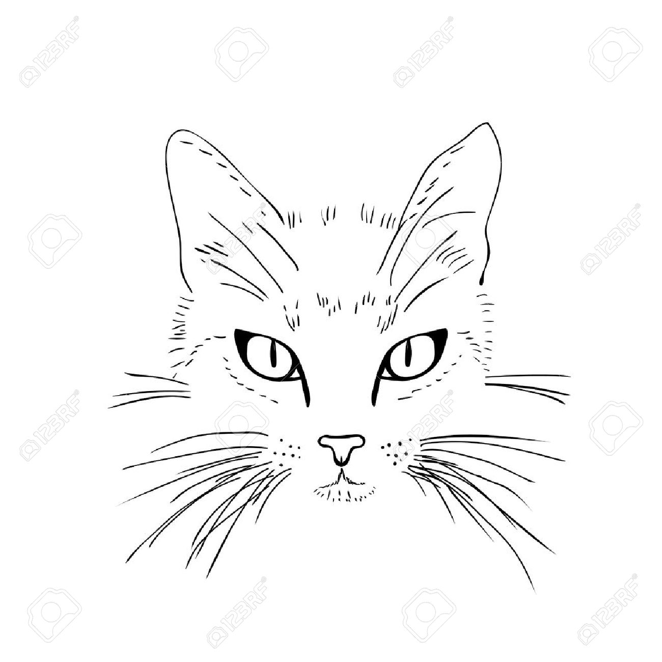 1300x1300 Cat Face. Black And White Sketch. Vector Illustration Royalty Free
