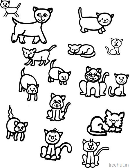 448x577 Cat Drawing And Coloring Pages For Kids