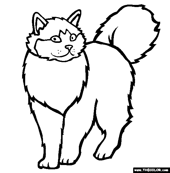 554x565 Cat Coloring Games Cat Coloring Pages Games