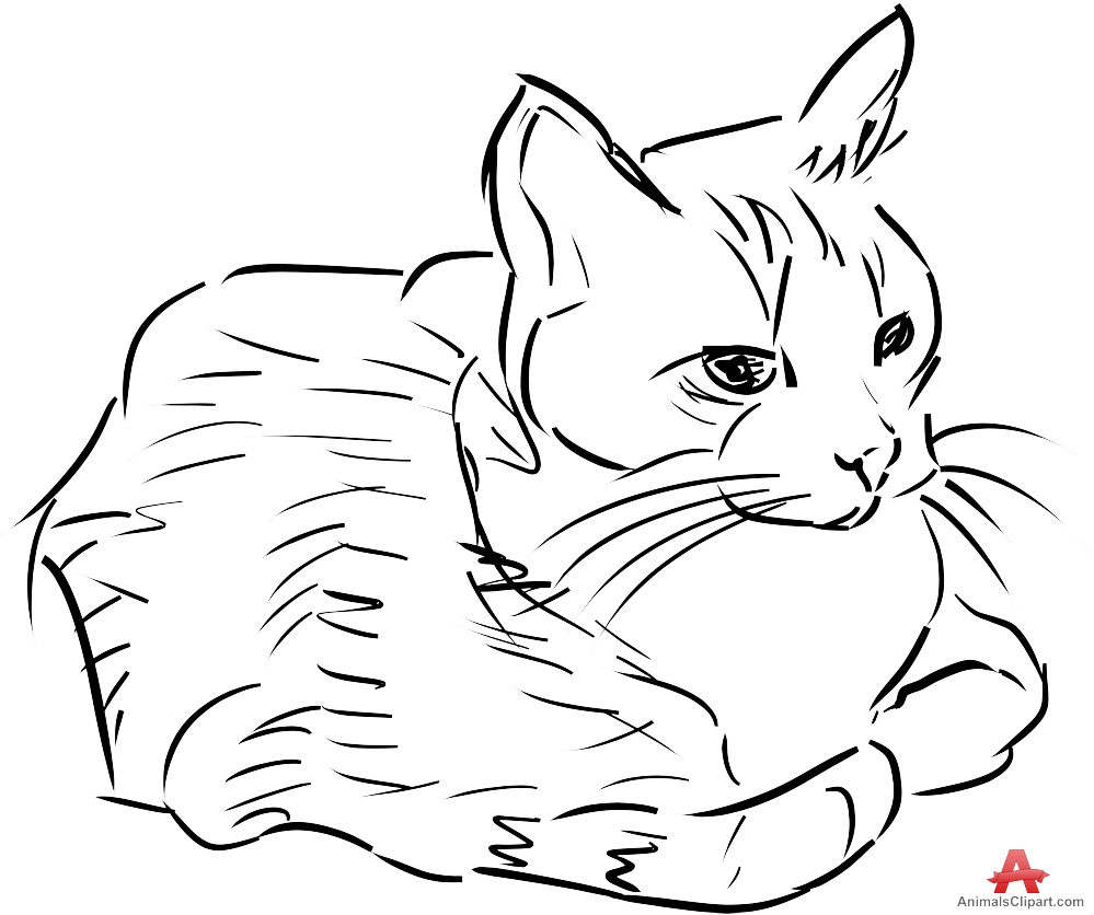 999x836 Drawing Sketch Of Beautiful Cat Free Clipart Design Download