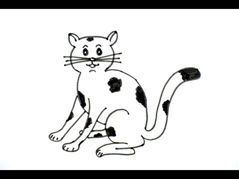 480x360 How To Draw A Cat