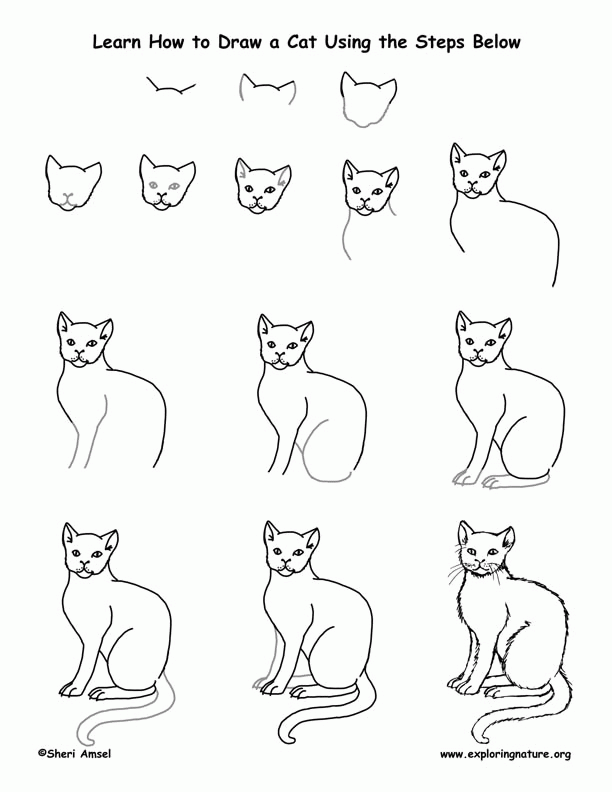 612x792 Cat Pictures To Draw