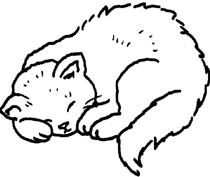 734x618 Cats Sleeping Coloring Pages Coloriages Images Chiens, Chats Et