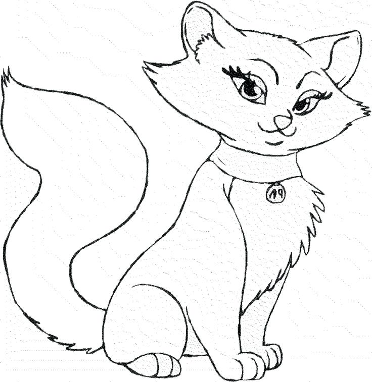 736x757 Elegant Cat Printable Coloring Pages Online Best Templates