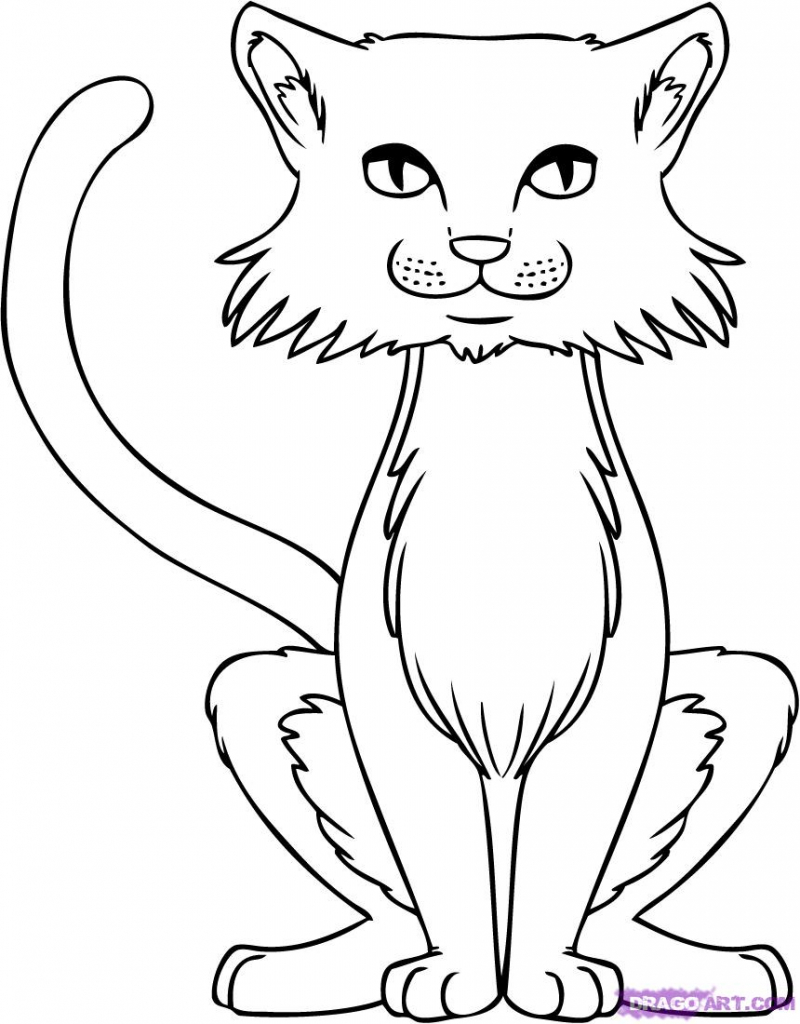 800x1024 Line Drawing Of A Cat How To Draw Cats Step Step Pets Animals Free