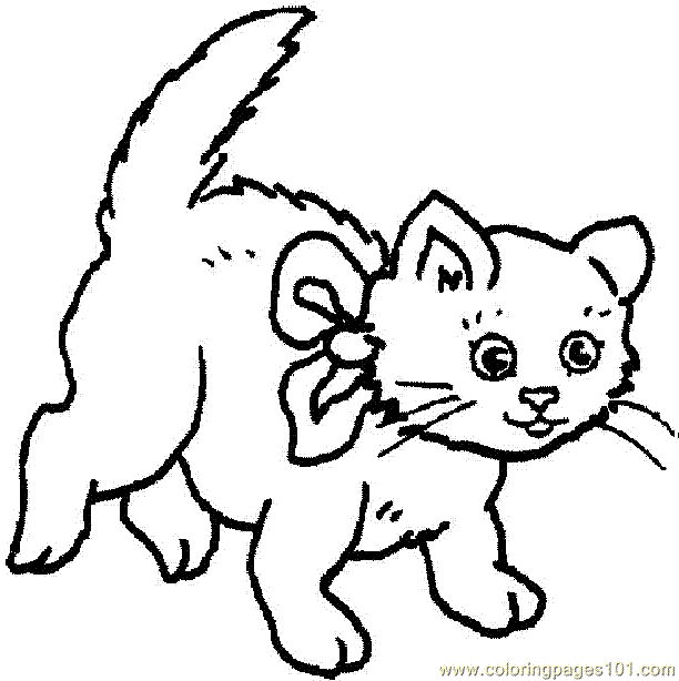 612x614 Cat 01 (1) Coloring Page