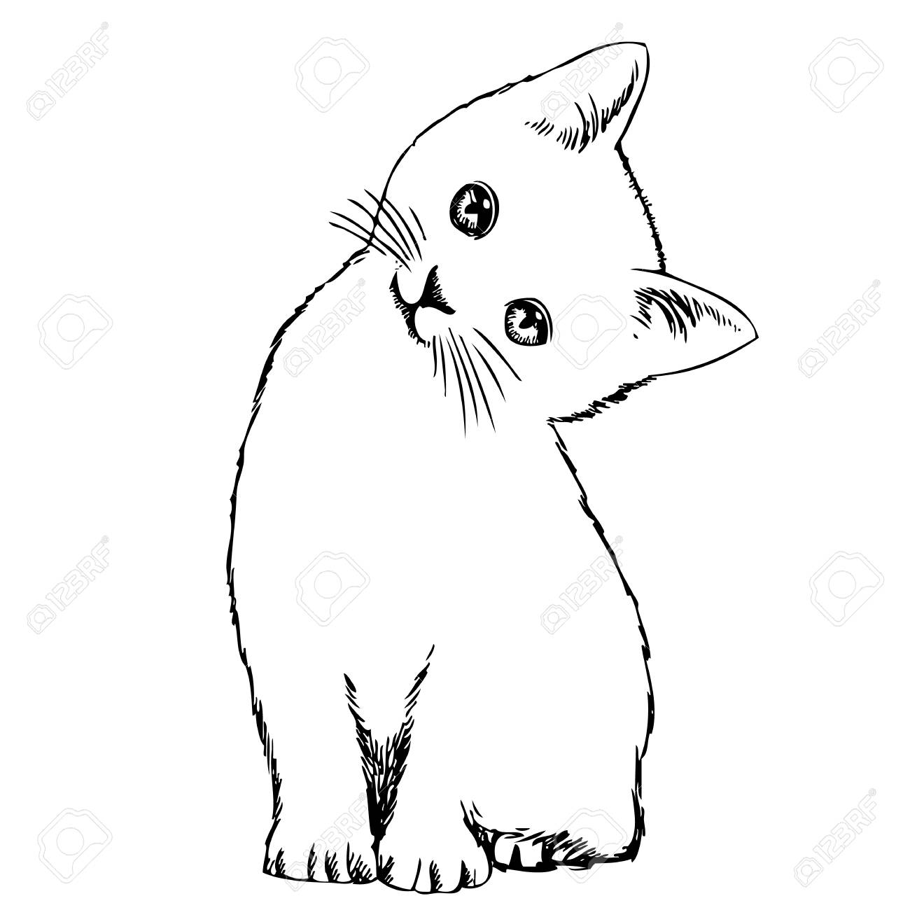 1300x1300 Freehand Sketch Illustration Of Cat, Kitten , Outline, Doodle