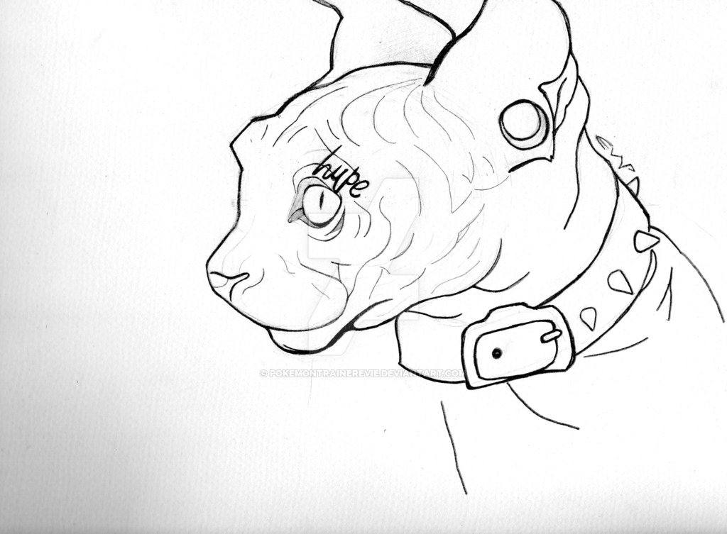 1024x753 Hairless Cat (Outline) By Pokemontrainerevie
