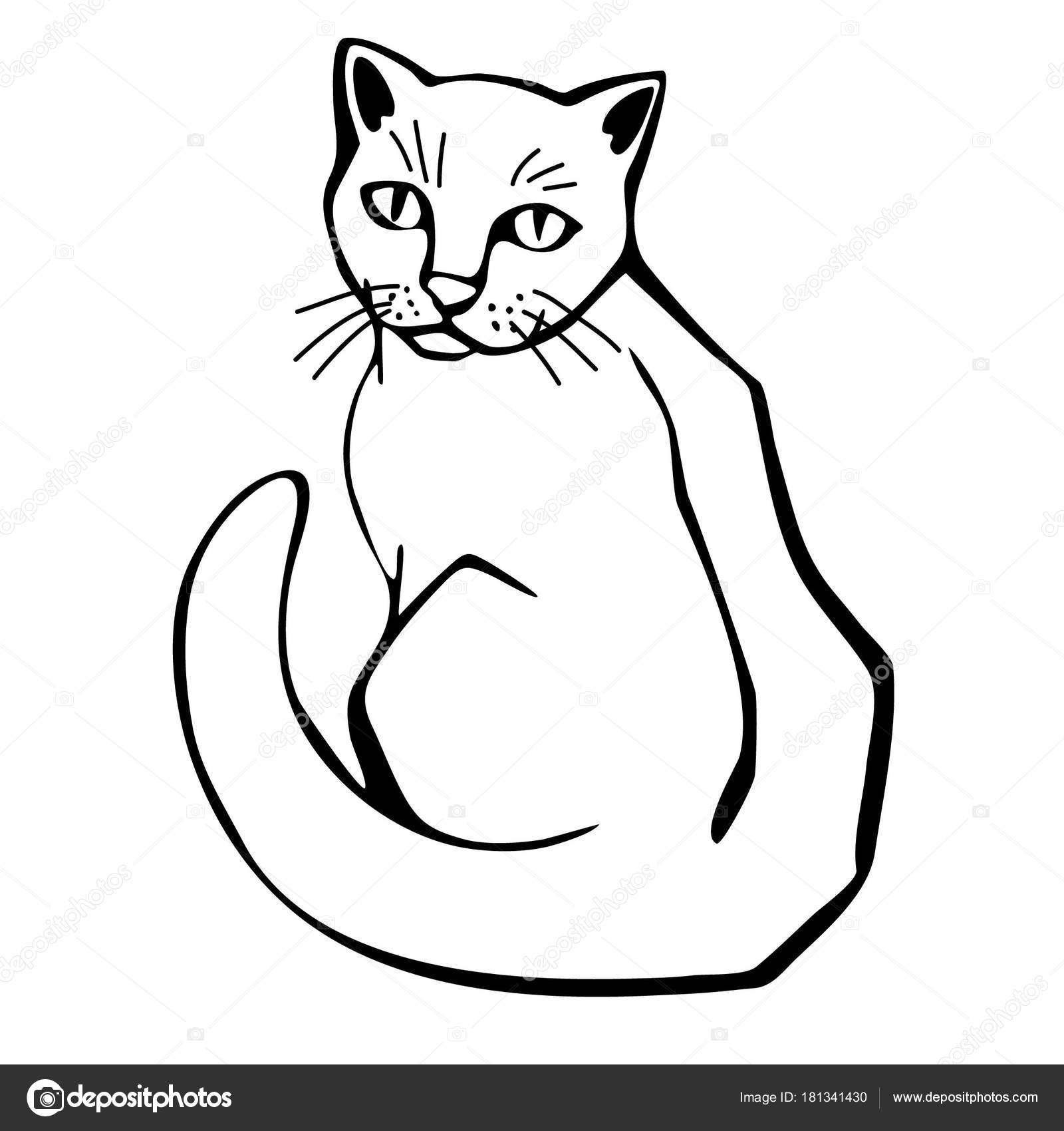 1600x1700 Silhouette Cat Draw Line Art Outline Isolated Sketch Stress