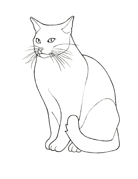 Cat Drawing Outline at GetDrawings | Free download