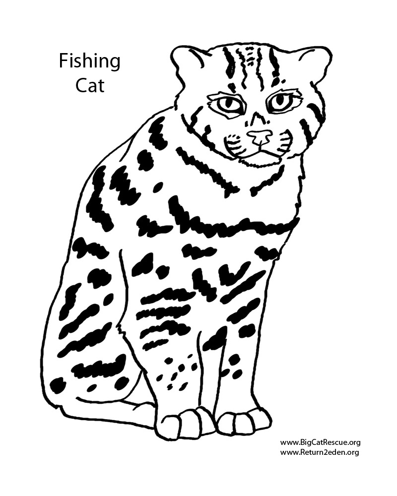 800x1000 Coloring Pages By Jamie