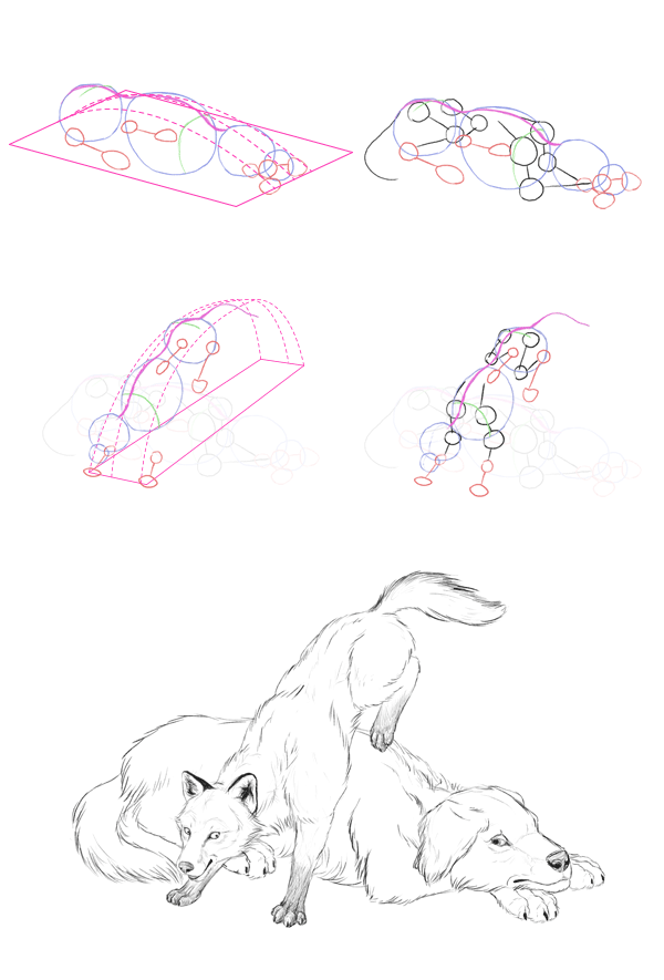 600x885 How To Draw Animals The Importance Of Drawing A Pose