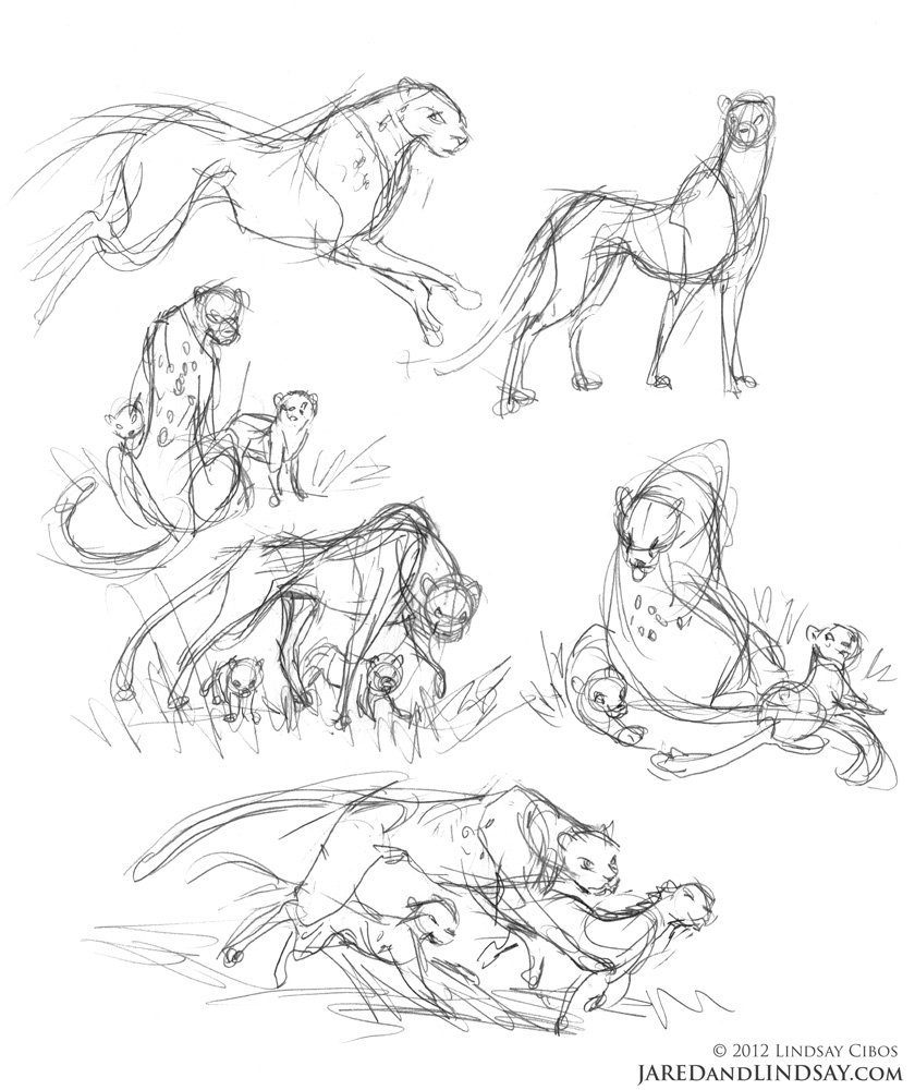 840x1000 How To Draw A Cheetah Last Of The Polar Bears