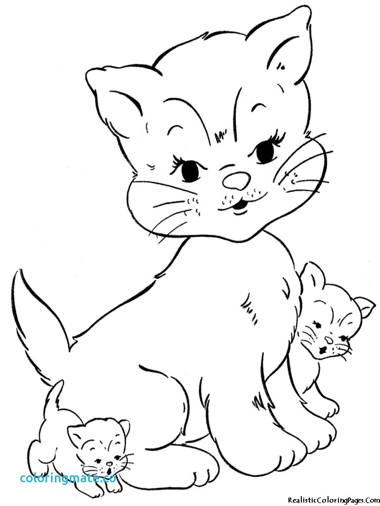768x1024 Cute Kitten Coloring Pages Beautiful Realistic Cat Coloring Pages